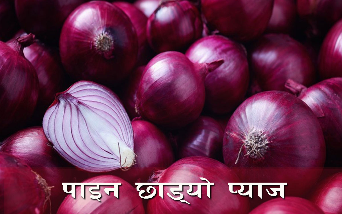 बजारमा प्याजकाे हाहाकार !