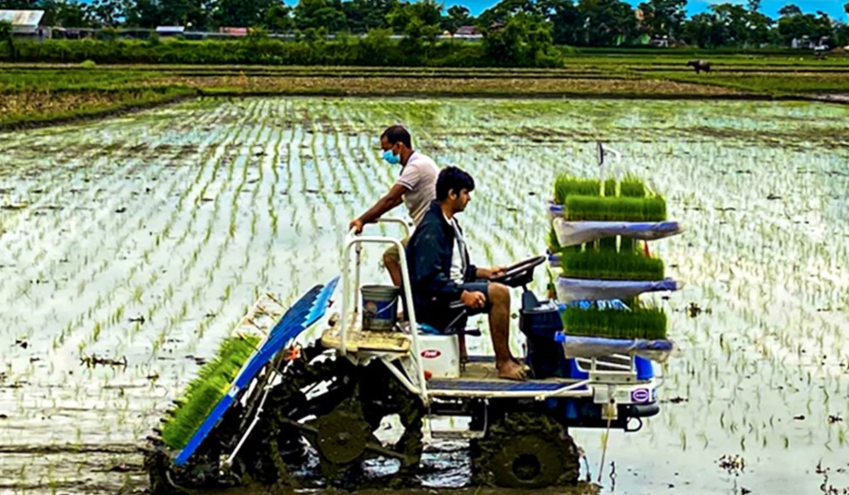 कृषि आधुनिकीकरण परियोजना : आठ हजारभन्दा बढी किसान आवद्ध