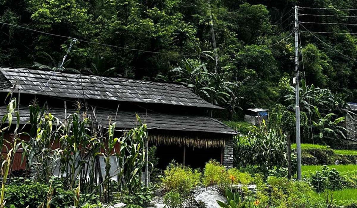 म्याग्दीमा विद्युत् वितरण प्रणाली सुदृढीकरण योजना, १० करोड बजेट विनियोजन