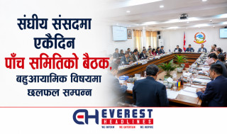 संघीय संसदमा एकैदिन पाँच समितिको बैठक, बहुआयामिक विषयमा छलफल सम्पन्न