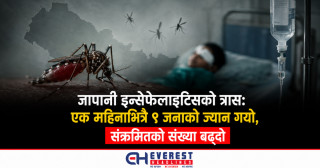 जापानी इन्सेफेलाइटिसको त्रास: एक महिनाभित्रै ९ जनाको ज्यान गयो, संक्रमितको संख्या बढ्दो