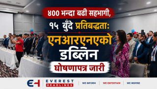 ४०० भन्दा बढी सहभागी, १५ बुँदे प्रतिबद्धता: एनआरएनएको डब्लिन घोषणापत्र जारी