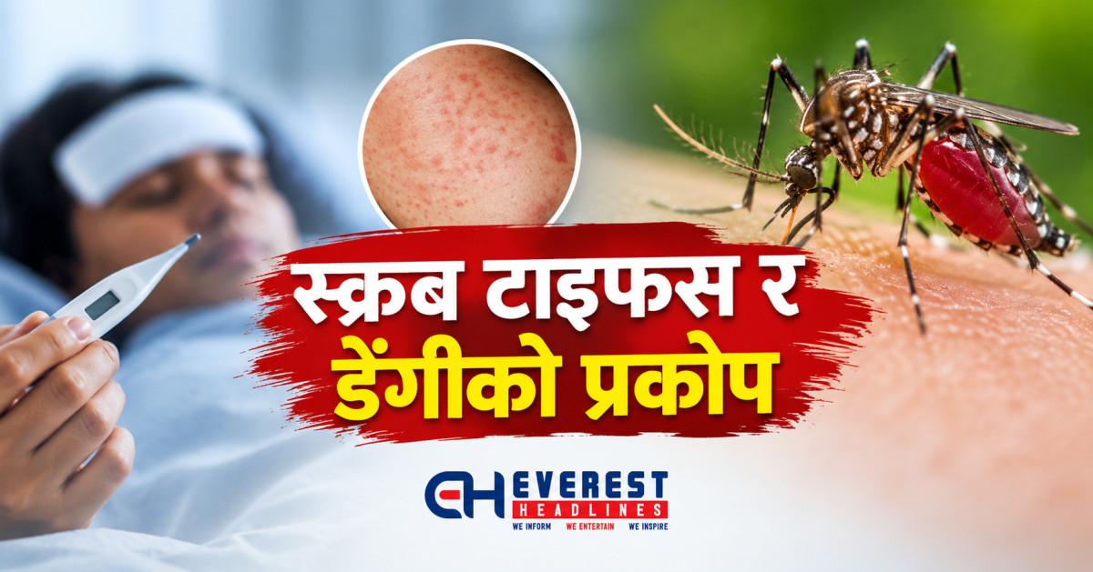 स्क्रब टाइफस र डेंगीको प्रकोप: दार्मामा संक्रमित ११४ पुगे, धौलागिरि अस्पतालमा शय्या अभाव